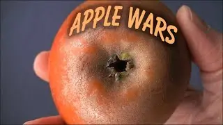 Big Stores vs Independents: English Russet Apple Review