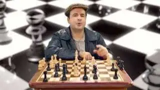 Tudo que você sempre quis perguntar