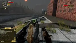 You alright, Raven? - WolfQuest: Anniversary Edition (1.0.7g)