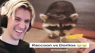 These TikToks made me laugh out loud