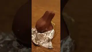 Would you rather eat dark or milk chocolate bunny? | 
