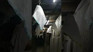 бедана ишкивозлари учун