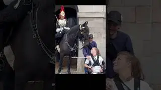 King’s Guard is An Angel!