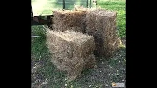Текуем Сено Часть 2