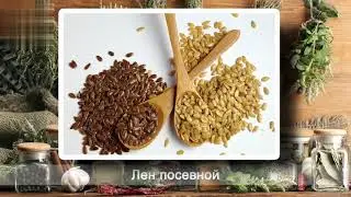 Снижаем сахар в крови