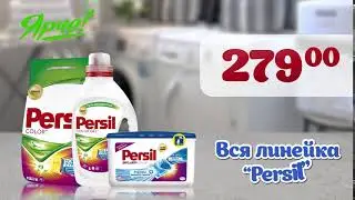 Ярче! Персил и Ласка.