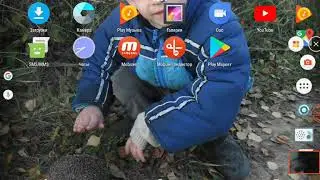 Димоон