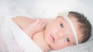 Introducing Nora