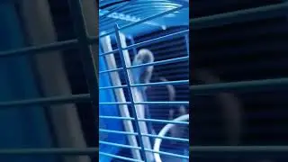 9 августа 2022 г.