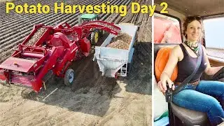 SPUDNIK Potato Harvesting Day 2