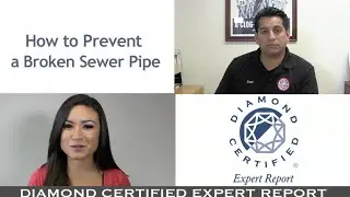 Diamond Certified Experts: How to Prevent a Broken Sewer Pipe