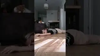 тут лучше не на меня смотреть а на кота | КРИНЖ