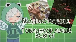 Виды эстетики \\ обложка кликбейт \\