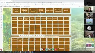 Kelp and Eelgrass Jan. 31, 2023 Workshop Breakout Room - Ecological Values