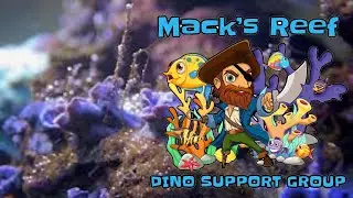 Talking To Dinoflagellate Expert Jason Mack