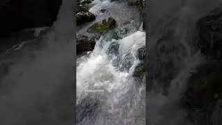 Башкирия. Айгир. Июнь 2024