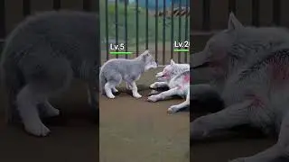 He just wanted to feed his mom... 😢🐶