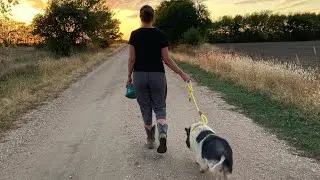 Walking Kevin Bacon