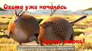 Поздравление, анонс.