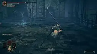 Elden Ring DLC Shenanigans Part 3