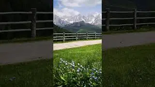 Le Pale di San Martino da Malga Bocche