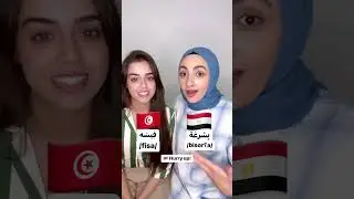 Egyptian vs. Tunisian Arabic (Part 2)