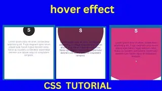 Fancy box with zoom effect using css with source code