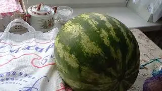 Сколько заработала и сколько потратила. ?