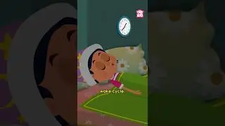 Why do we Sleep? | How Sleep is Important for Your Health 