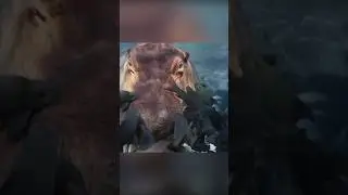 Hippo fish spa