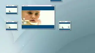 Elive 1.0 Gem & Elpanel