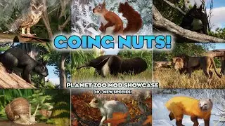 🐿️ Going Nuts! 30+! New Species! | Planet Zoo Mod Showcase