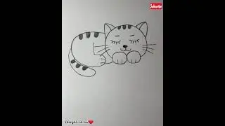 come disegnare un gatto/how to draw a cat/comment dessiner un chat/como dibujar un gato #disegni