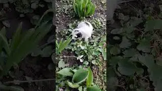 Маленькое чудо❤️