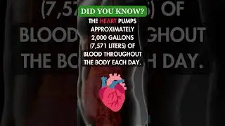 Heart #shots #youtubeshorts #health