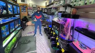 الجديد عندي في المحل أسماك و سلعة و أحواض داكشي واعر بزاف 💥💥💥