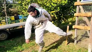 CEA MAI TARE FAZĂ CU GARDUL ELECTRIC😀CEA MAI BUNĂ ZACUSCĂ CU GHEBE