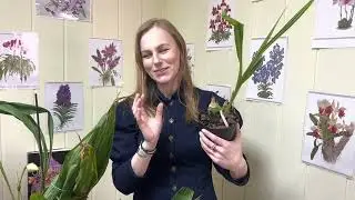 Встречайте весну вместе с нами!