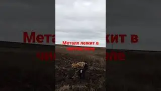 #копметалла #металлоискатель #металлокоп #топ