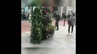 Внезапная шутка!