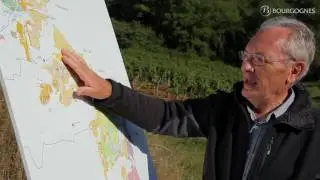 Pouilly-Fuissé, explained by Jean-Pierre Renard