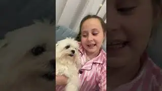 25 мая 2024 г.