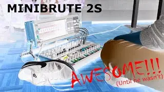 Minibrute 2S - 4 tracks - all sounds come from the Minibrute - except of course the vocals