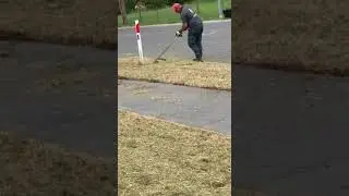 Brush cutting Froggi style ￼