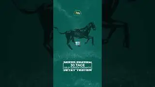 Der Pferdegold-Stand auf der Equitana 2023 🥰