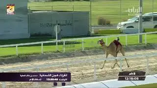 ملخص أشواط الثنايا المفتوحة بالمحلي الثامن ٦-٣-٢٠٢٠