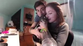 Zoomey The GoPro Cat