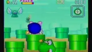 Yoshi's Safari Walkthrough 03