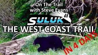 4 Days Hiking The West Coast Trail on Vancouver Island - Bear Encounter