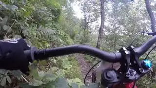 Oset 24 mtb trails errwood hall 31.8.20